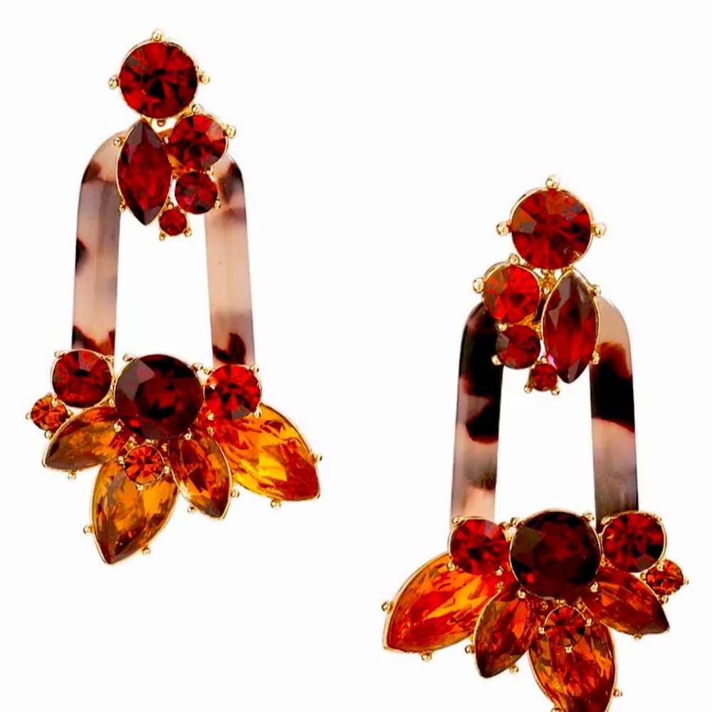 Earring Gift 💝